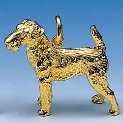 Schmuck Hunderasse Terrier